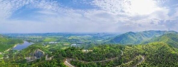 2019男排世界杯阿根廷vs意大利-阿根廷与意大利，2019男排世界杯的巅峰对决