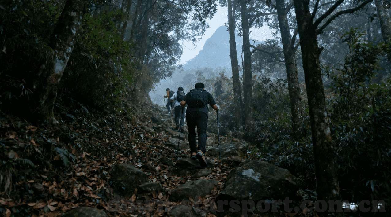 永利博线上娱乐平台-超越想象的永利博线上娱乐体验